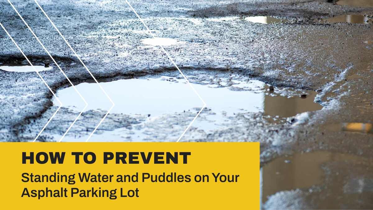 How to Prevent Standing Water and Puddles on Your Asphalt Parking Lot